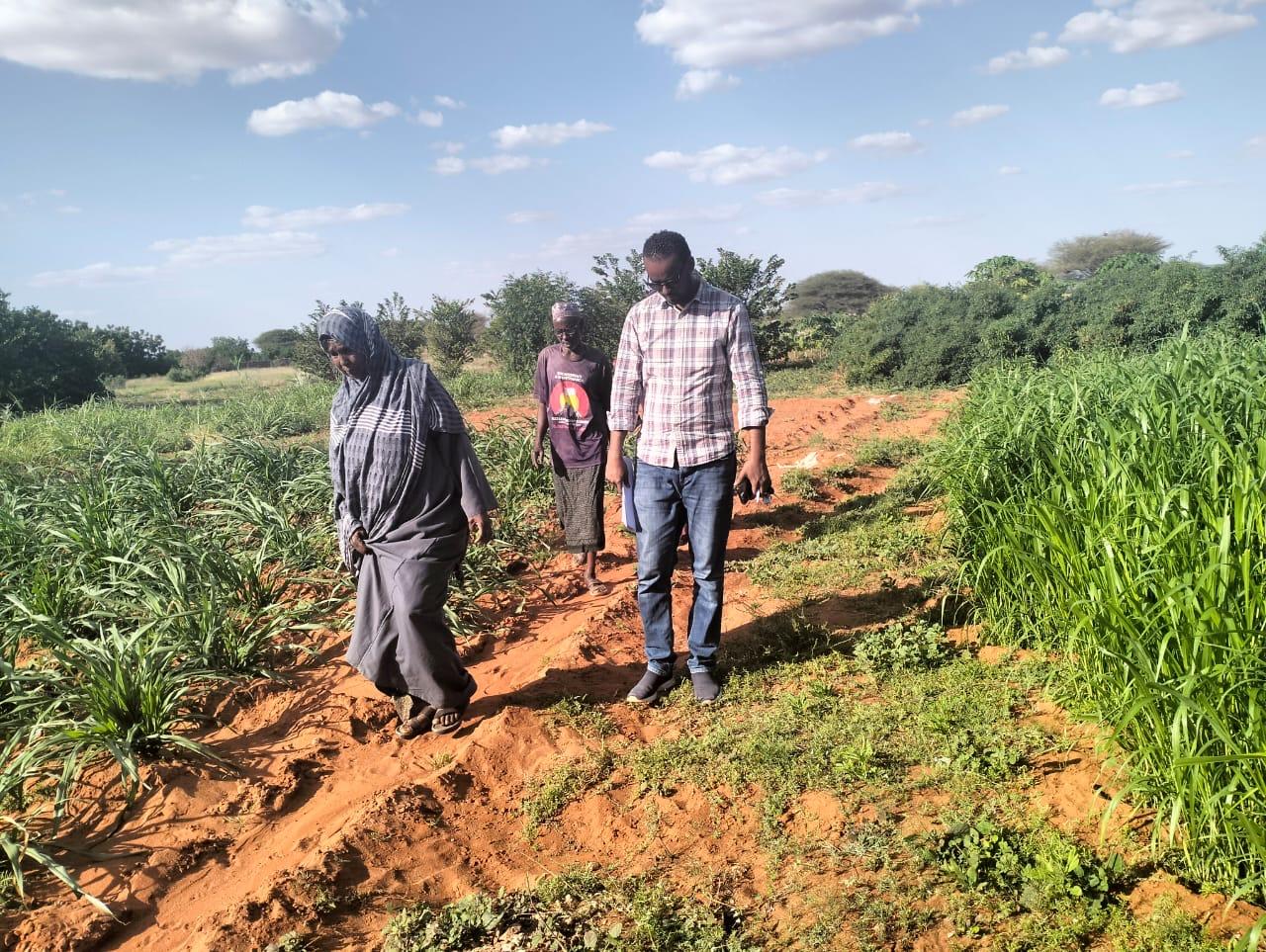 Afrisurge team members
